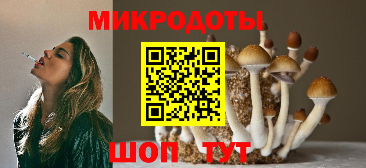 Первоуральск  Псилоцибиновые грибы Psilocybine cubensis  Вход с VPN 